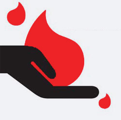 Doa&ccedil;&atilde;o de Sangue
